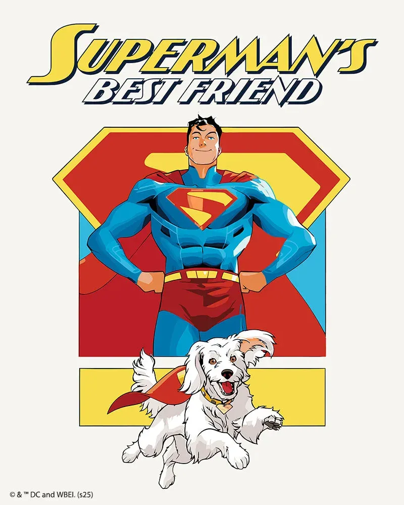 Figured'Art Supermans beste vriend schilderen op nummer 40x50