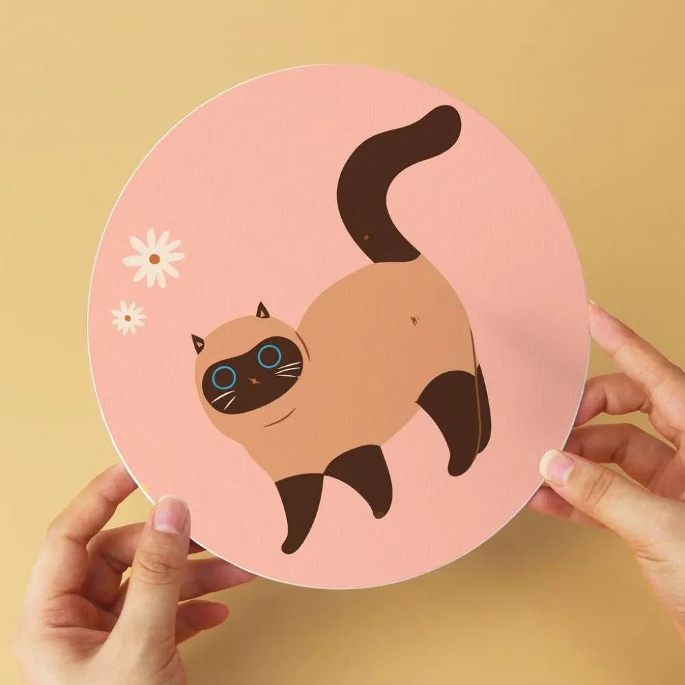 Figured'Art Mini Serie Schilderen op Nummer Nieuwsgierige katten 6x Ø20cm