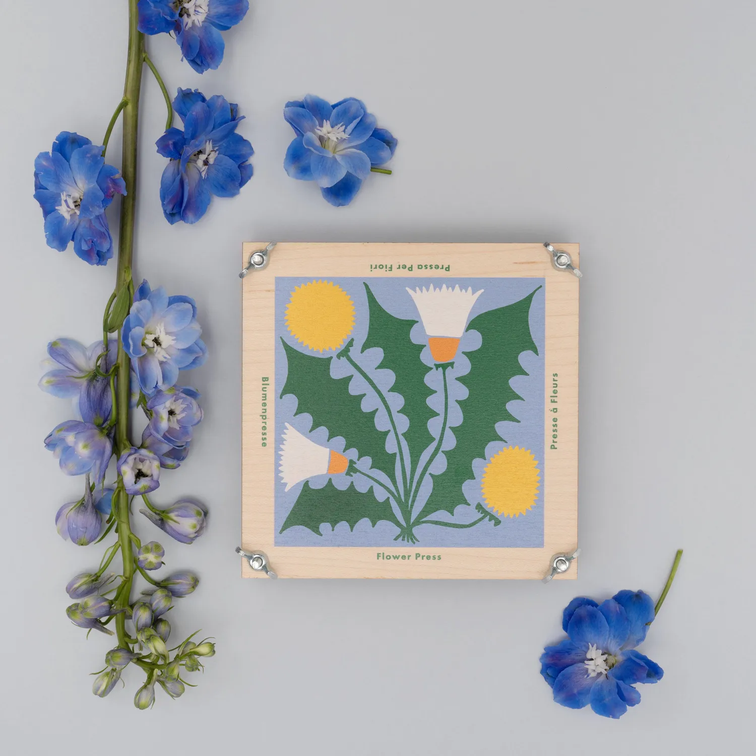Studio Wald Dandelion bloemenpers 15x15cm esdoornfineer