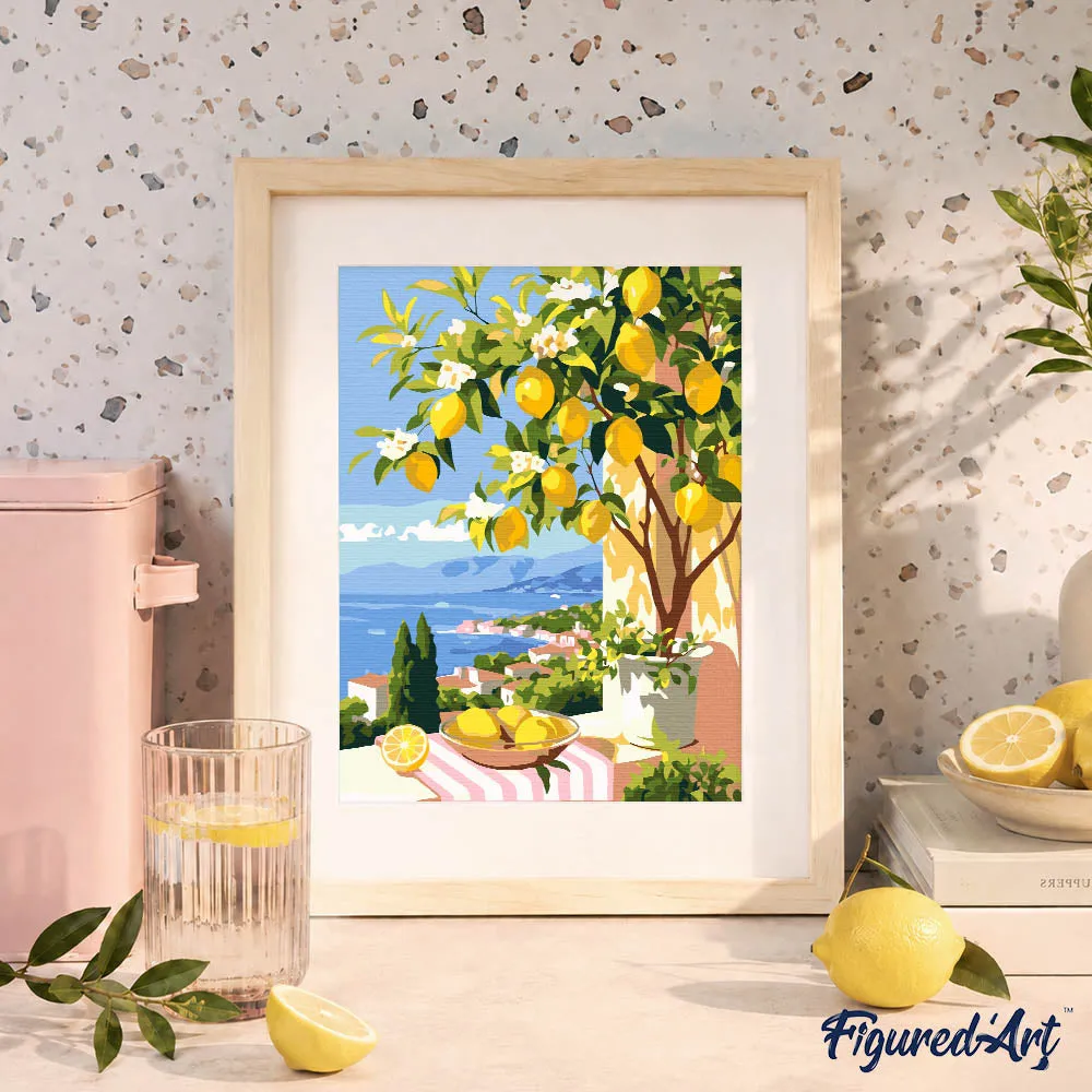 Figured'Art Zomerse Citroen schilderen op nummer cadeauset paneel zomer