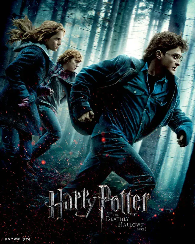Figured'Art Diamond Painting Harry Potter Relieken 40x50 ingelijst