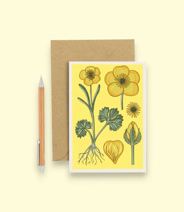 Studio Wald A6 Card Vintage Buttercup wenskaart blanco botanisch
