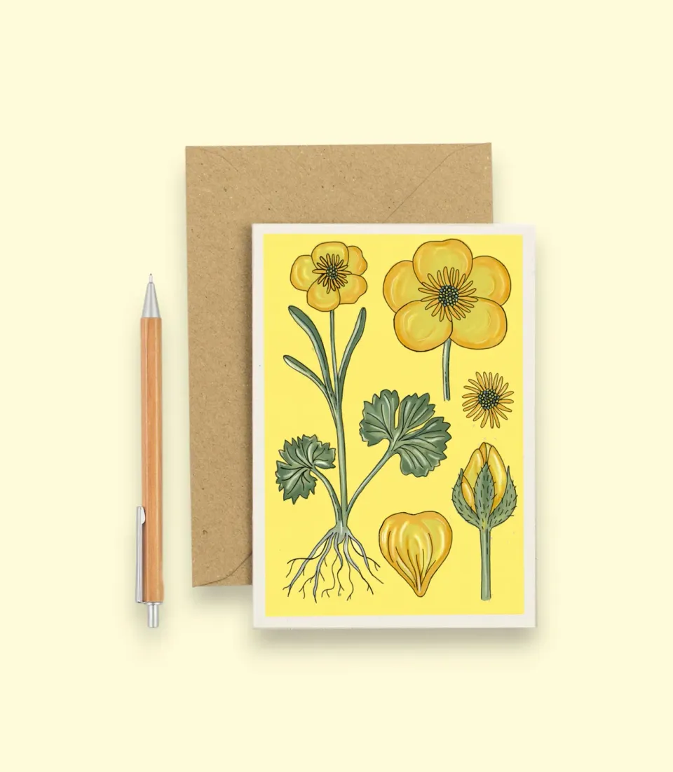 Studio Wald A6 Card Vintage Buttercup wenskaart blanco botanisch