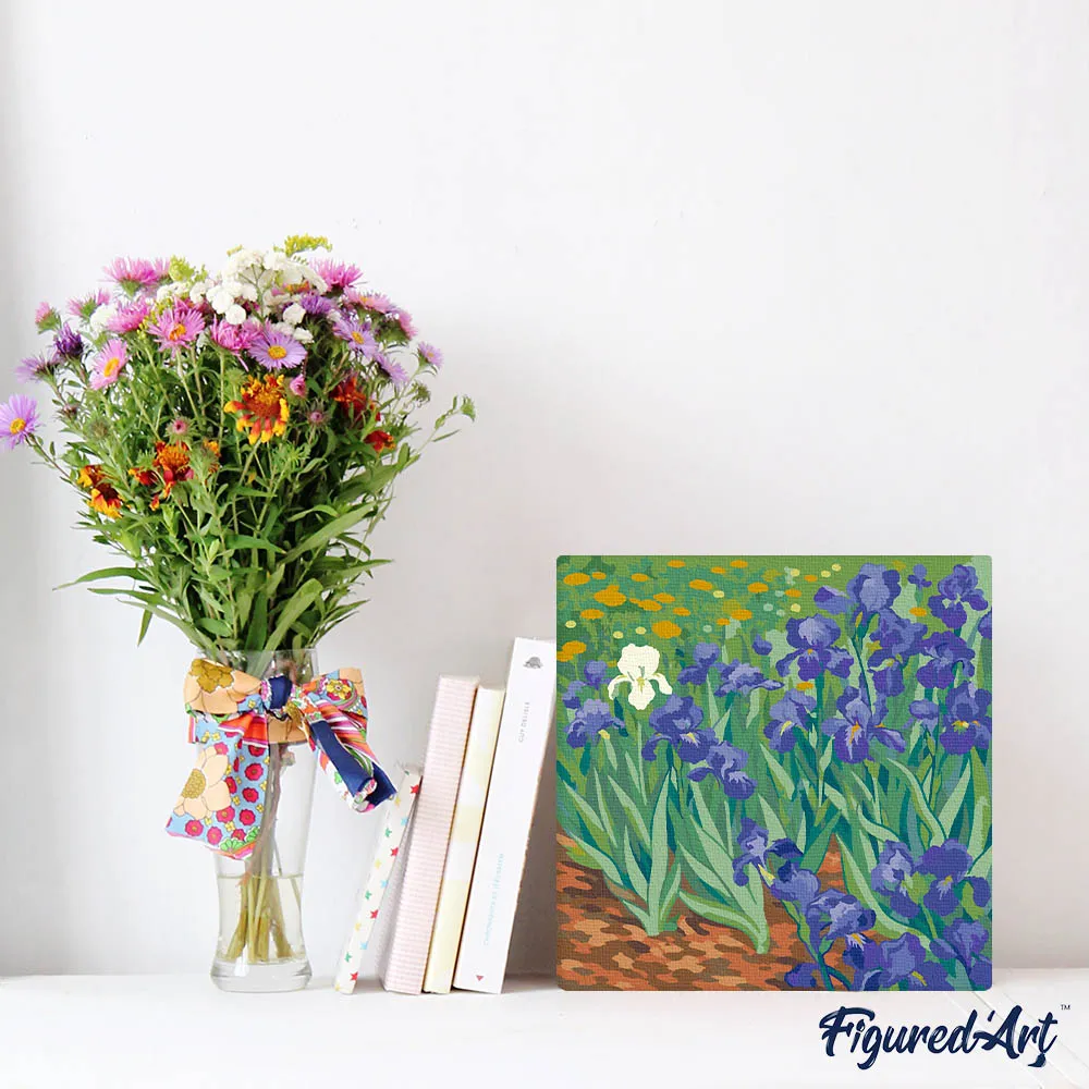 Figured'Art Van Gogh Iris schilderen op nummer 20x20cm met frame
