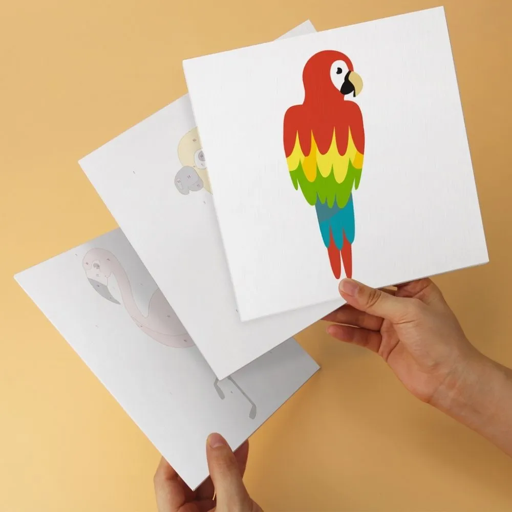 Figured'Art Mini Serie Tropische vogels schilderen op nummer 20x20cm 6 stuks