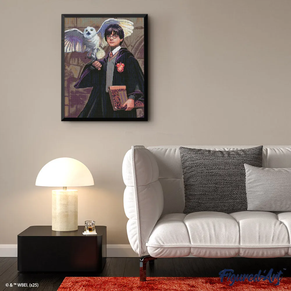 Figured'Art Harry Potter en Hedwig Diamond Painting 40x50 cm