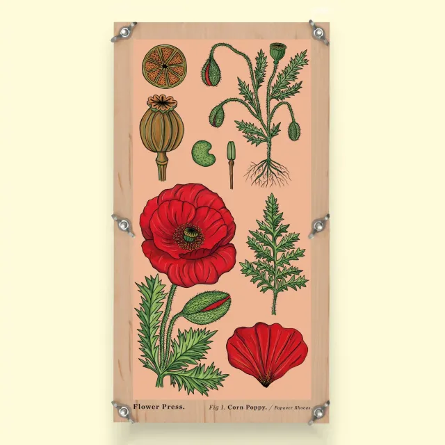 Studio Wald Large Flower Press Vintage Poppy bloemenpers supersized