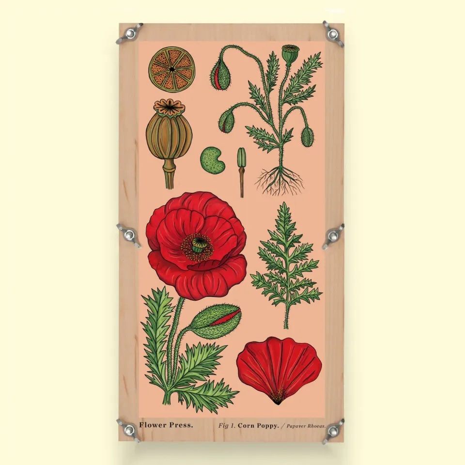 Studio Wald Large Flower Press Vintage Poppy bloemenpers supersized