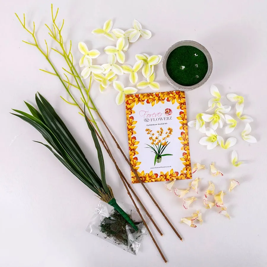 Forever Flowerz Cymbidium orchidee knutselpakket wit