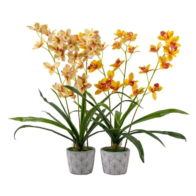 Craft Buddy Forever Flowerz Cymbidium orchidee geel crème set