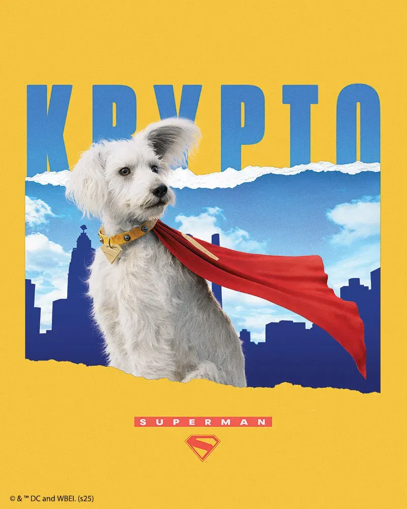 Figured'Art Superman Krypto met skyline diamond painting 40x50cm