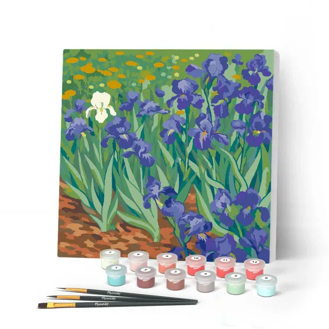 Figured'Art Van Gogh Iris schilderen op nummer 20x20cm met frame