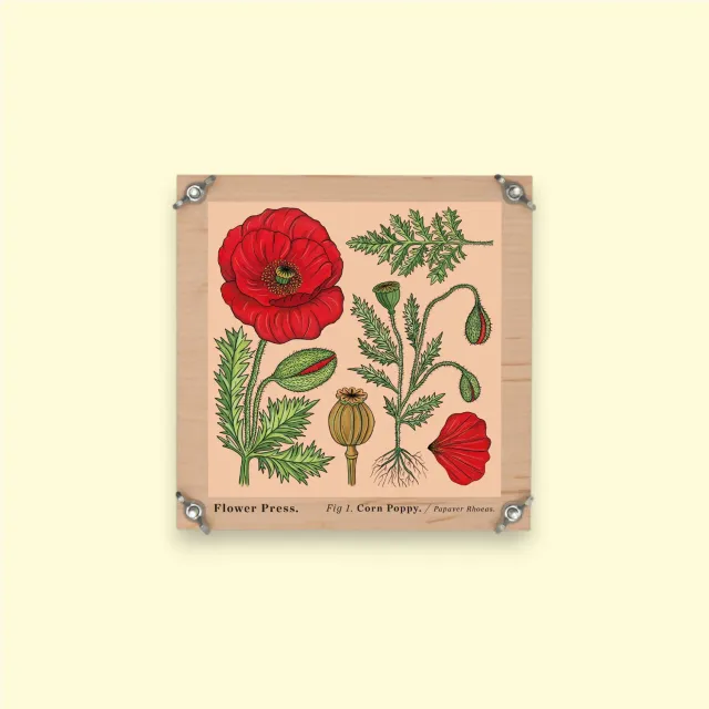 Studio Wald Flower Press Vintage Corn Poppy bloemenpers 15 cm